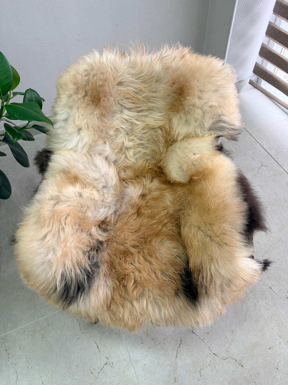 Шкура коврик меховой прикроватный овчина, 120х65 см.