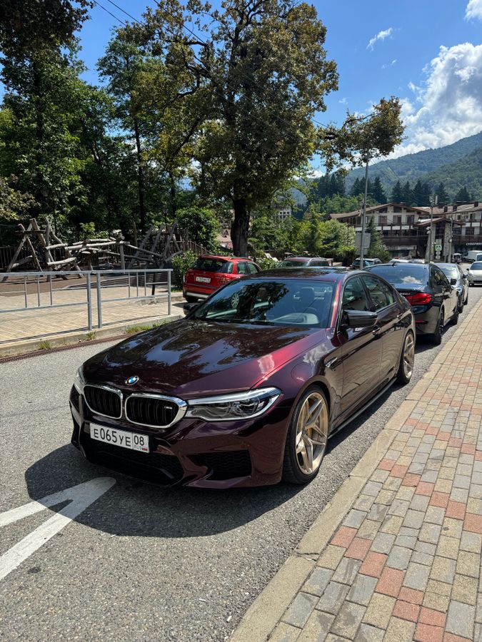 BMW M5 оклейка в цветную полиуретановую пленку Carbins PPF Black Rose SP-17 🍒 антигравийная защита кузова 👌