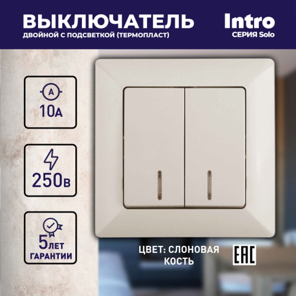 Выключатель Intro Solo 4-105-02 двухклавишный с подсветкой, 10А-250В, IP20, СУ, слоновая кость | Intro Solo