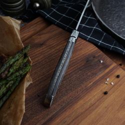 Нож для стейка топорик 21,6 см "Garwin" Pakka Wood P.L. Proff Cuisine