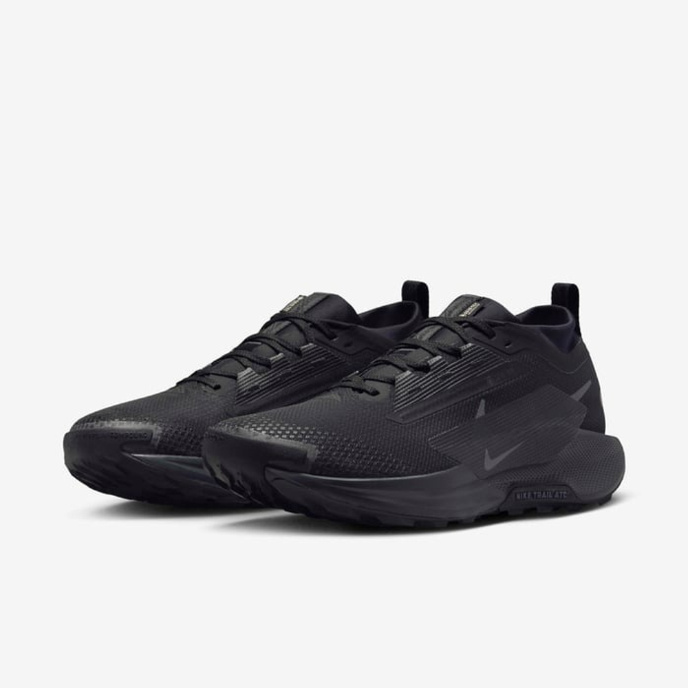 Кроссовки мужские NIKE Pegasus Trail 5 GORE-TEX