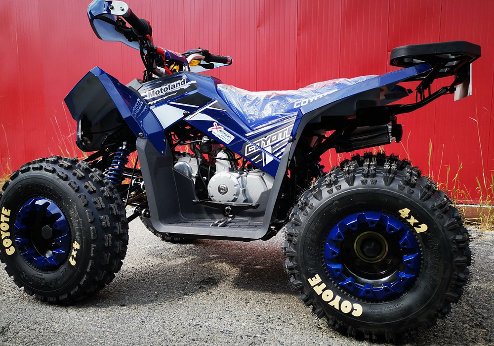 Квадроцикл MOTOLAND (МОТОЛЕНД) 125 COYOTE PRO