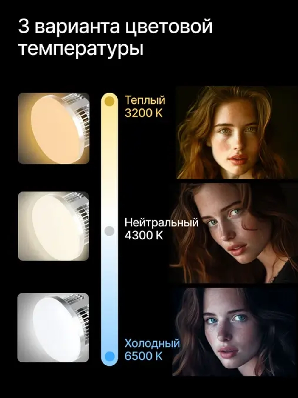 Комплект постоянного света Raylab D-Light 2 светодиодный