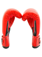 Перчатки боксерские Rusco Sport 4-6 OZ
