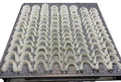 MaxPrint P5