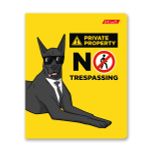 Тетрадь ученическая общая, A5+ 48 л. на скобе 65 г/м², белизна 100%, 10 шт, клетка в термоусадочной пленке, 000730 Не буди во мне зверя, Светоч 48ТЕТк-001