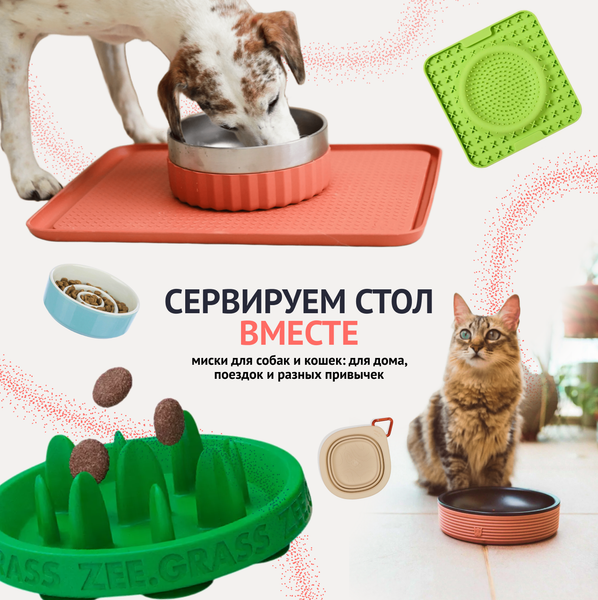 Как выбрать миску для собаки или кошки