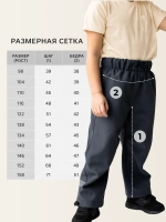 Штаны детские софтшелл демисезонные