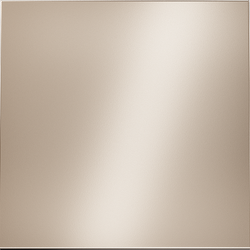 Клавиша для выключателя/переключателя одноклавишного, S70 Metal (платина)