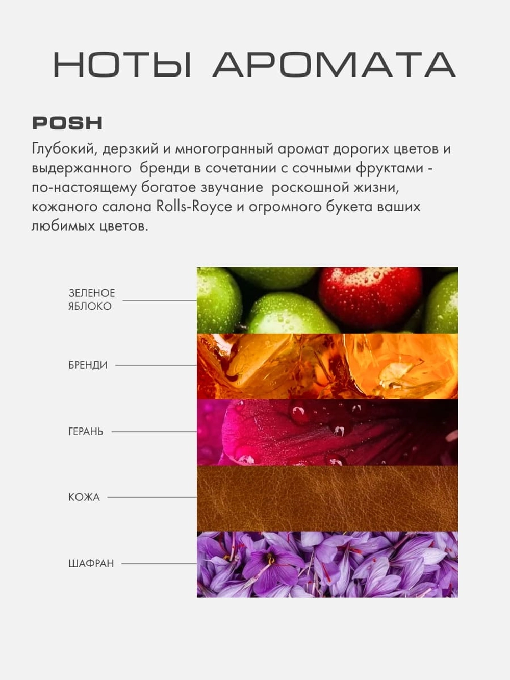 Лосьон для тела ШИКАРНЫЙ (ПОШ/POSH)
