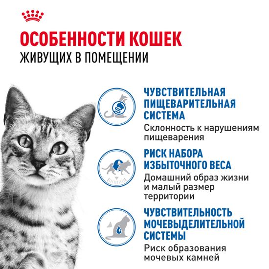 Royal Canin Indoor Sterilised влажный корм в соусе для домашних кошек старше 1 года