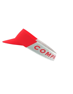 Visor Pro Racing RED