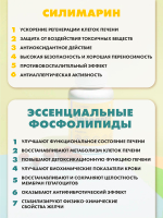 Олеопрен Гепа, 60 капс Гепатопротектор. Защита и восстановление клеток печени