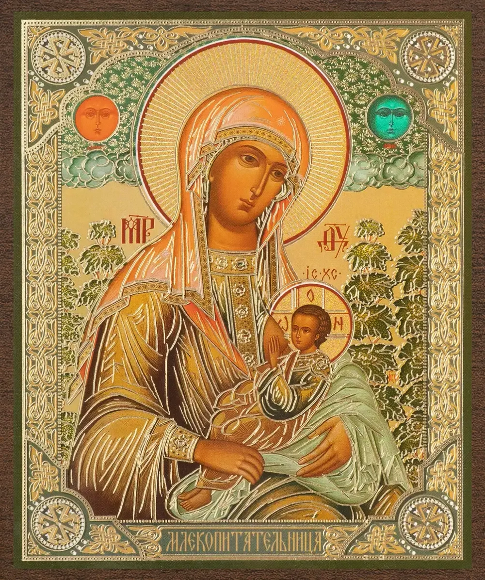 Икона БМ "Млекопитательница", вид 2, 10х12 на МДФ-6 (1012-1568)