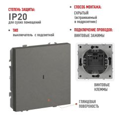Выключатель ЭРА Galaxy 15-1102-07 с подсветкой 10АХ-250В IP20 титан | Эра Galaxy
