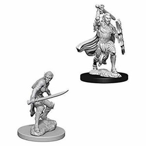 Female Elf Fighter / Эльфийки-воительницы