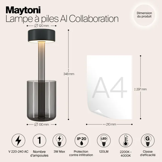 Интерьерная настольная лампа AI Collaboration MOD229TL-L3B3K3 Maytoni