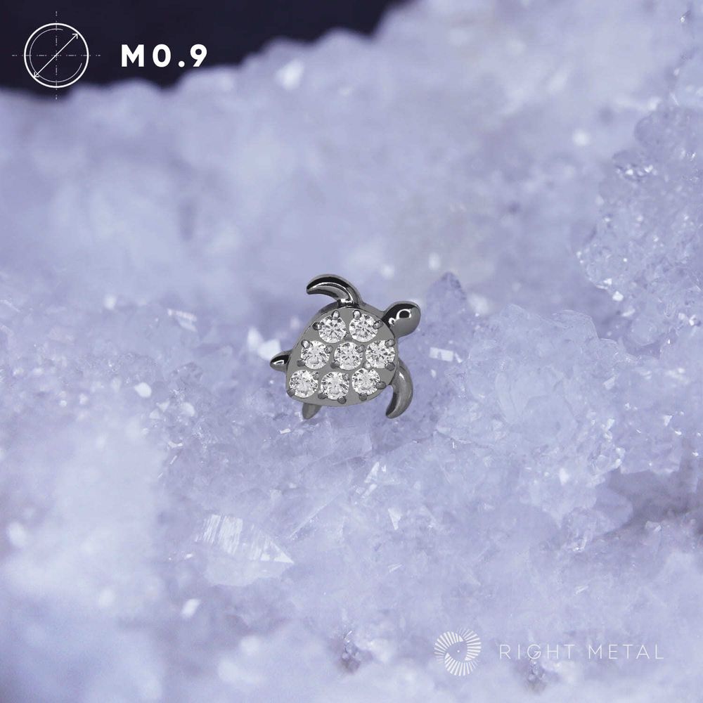 Turtle Crystal Turtle Crystal