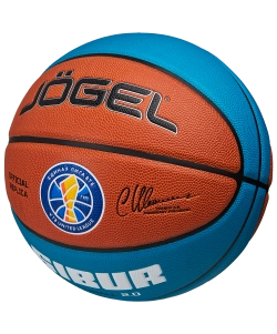 Мяч баскетбольный Pro Training ECOBALL 2.0 Replica №5