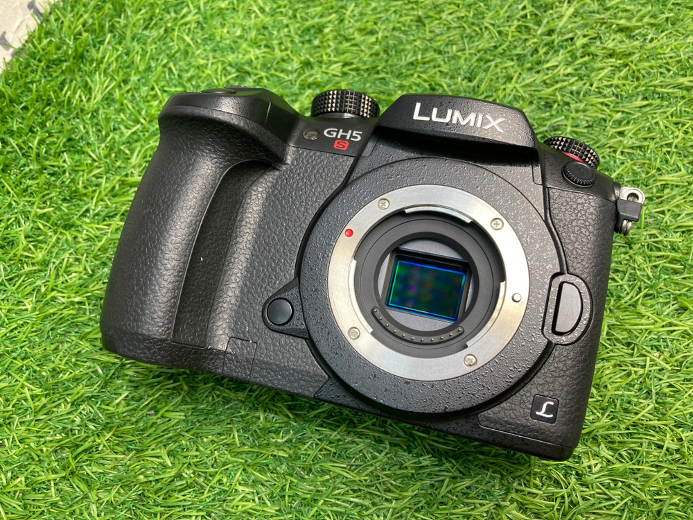 Panasonic Lumix GH5S 4.100 кадров