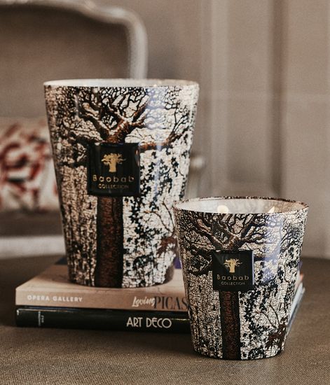Morondo, свеча MAX 10 Sacred Trees collection, Baobab Collection