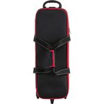 Godox MS300-D