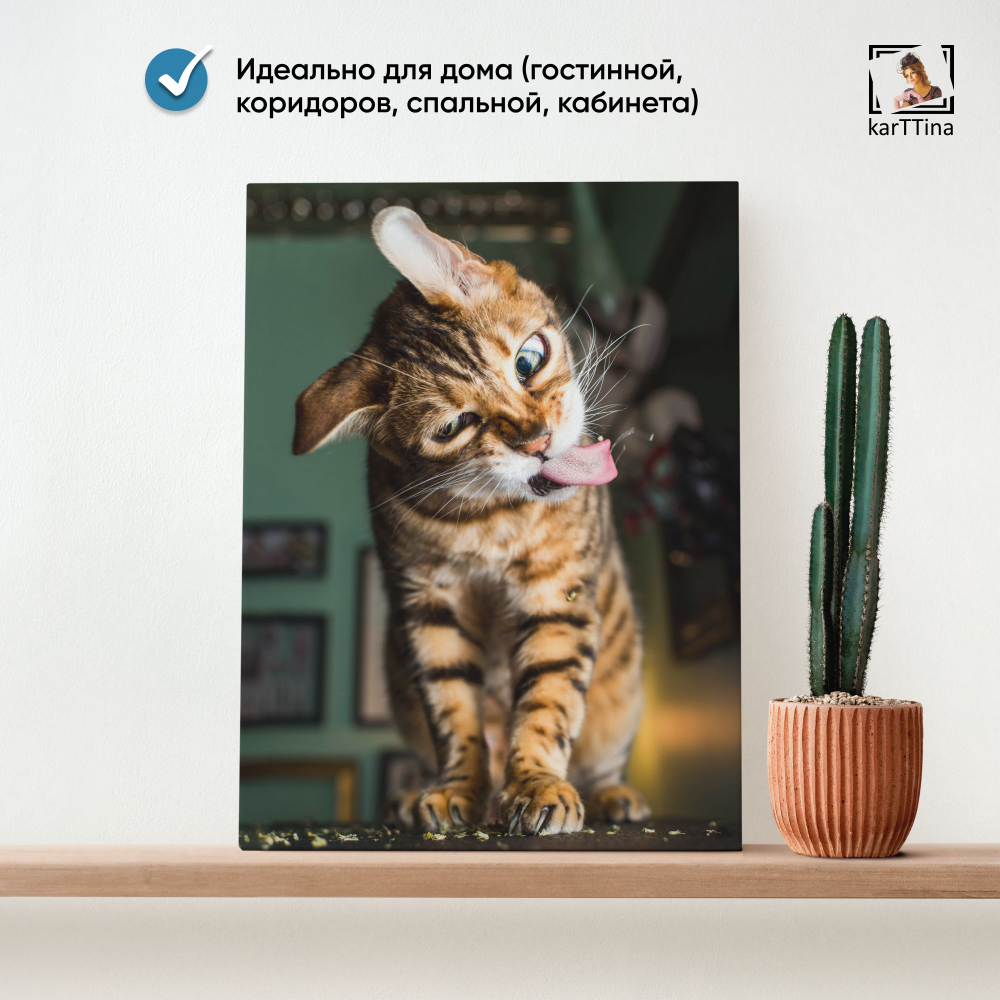 Картина karTTina "Котенок из водички" 30х40 см