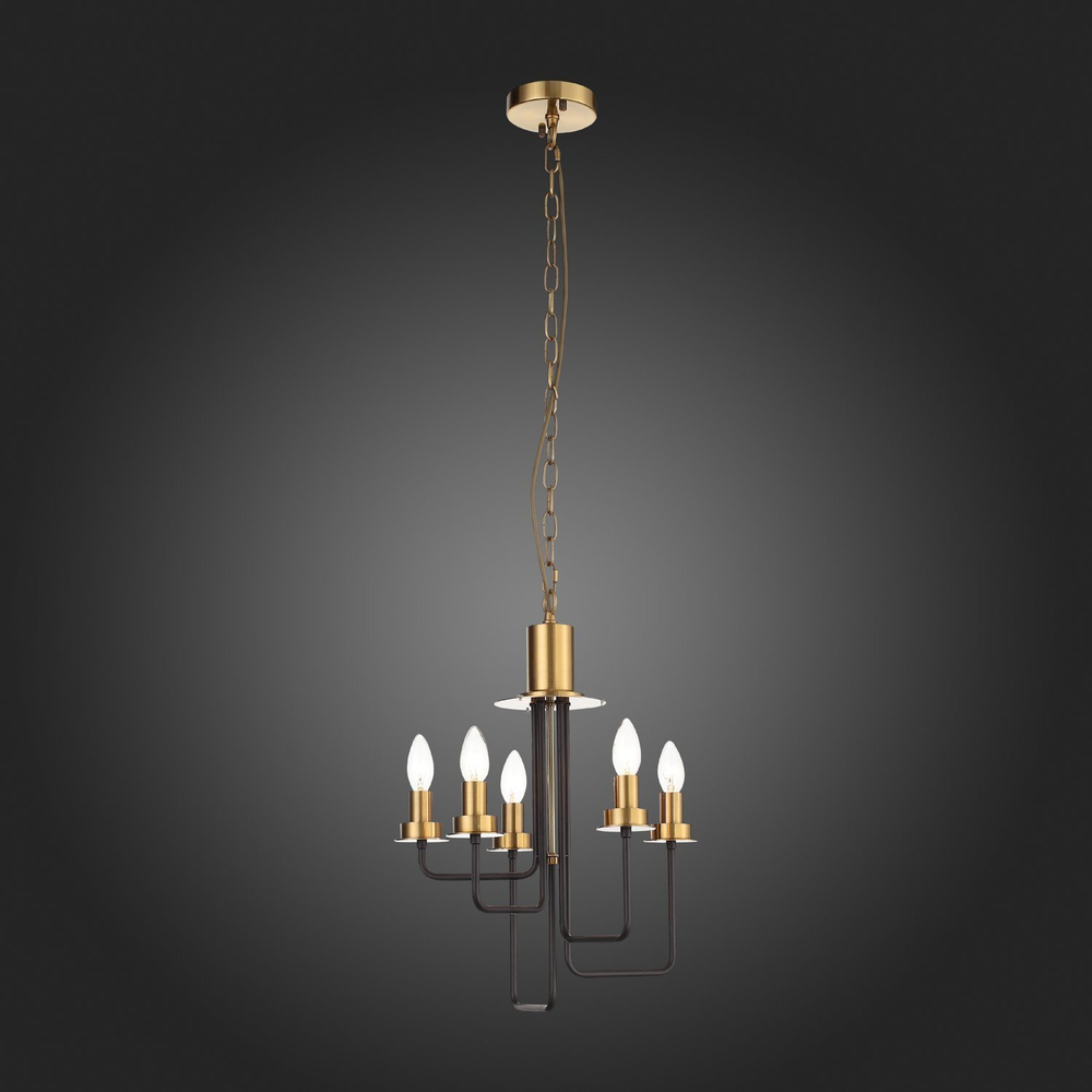 Люстра подвесная ST Luce Delavera SL336.303.05