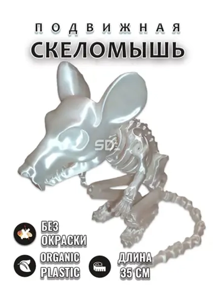 Скелет Мышь
