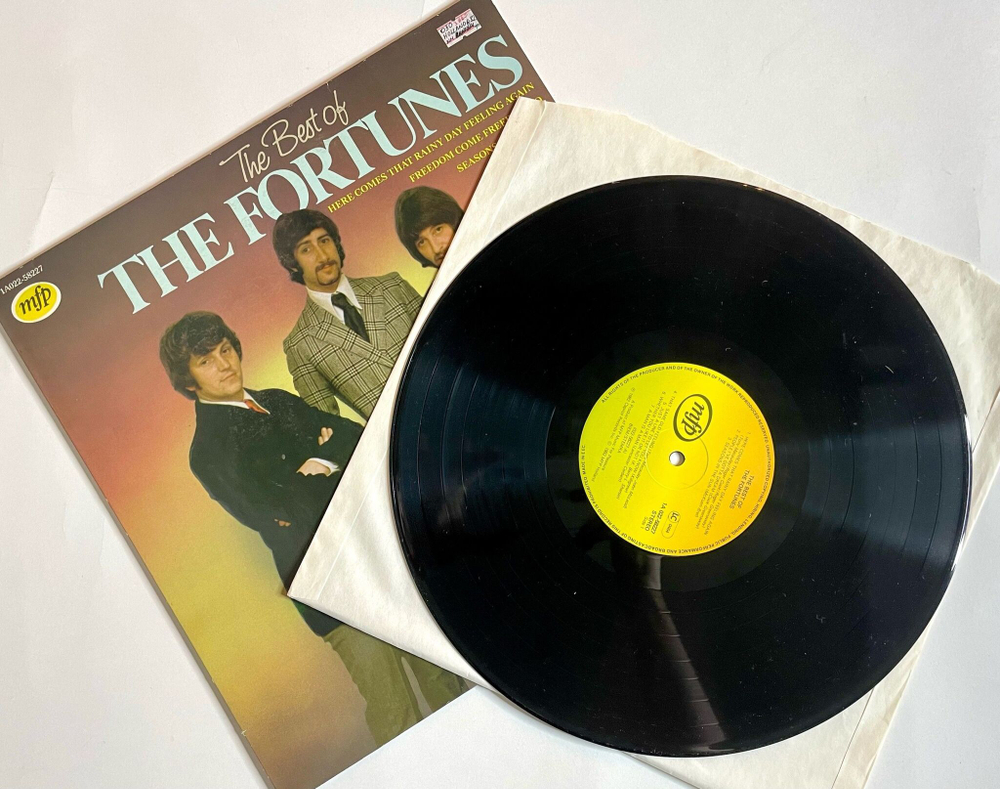 Винтажная виниловая пластинка LP The Best Of The Fortunes (Holland 1982)