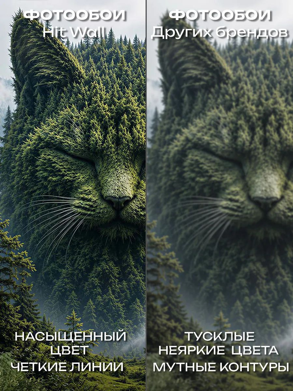Фотообои 3d в спальню и для зала туманный лес и кот