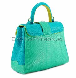 Сумка из кожи питона BG-303