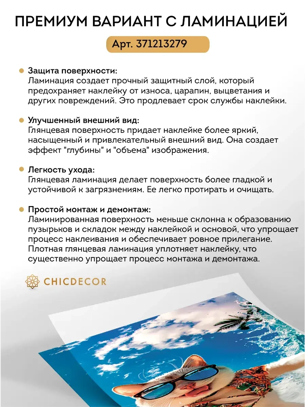 Наклейка интерьерная на холодильник Кот на сапе