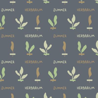 Летний гербарий SUMMER HERBARIUM темный