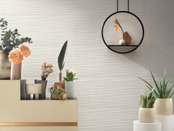 3D Wall Plaster