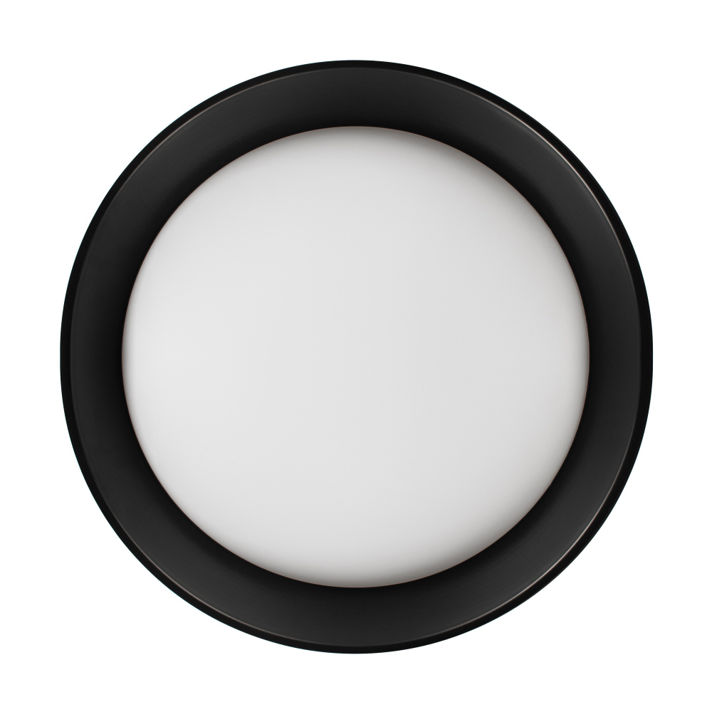 Накладной светильник Loft it Coin 10202 BB