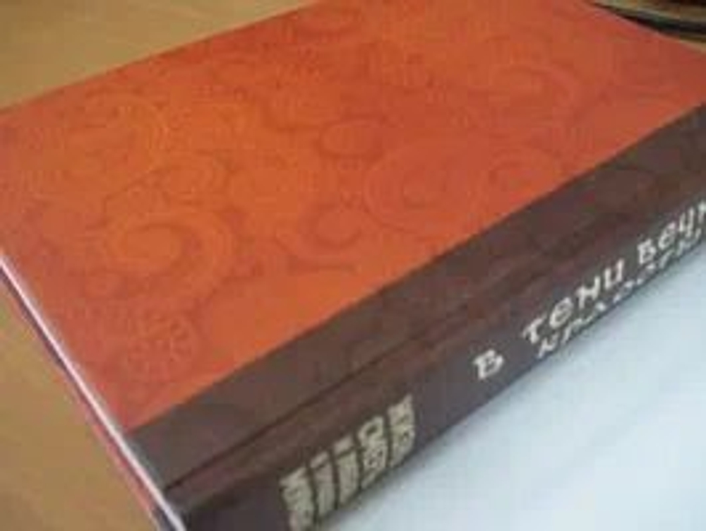 В тени вечной красоты. Жизнь, смерть и любовь в трущобах Мумбая.