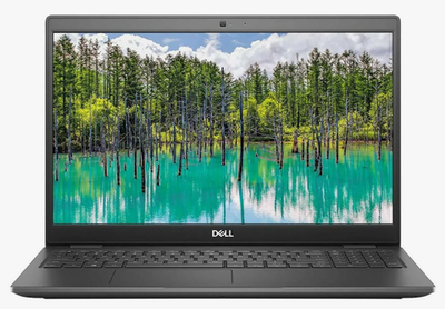 15.6" Ноутбук Dell Latitude 3510 (1920x1080, Intel Core i5-10210U, Ram 8ГБ, SSD 256ГБ, Intel UHD Graphics, Win 10 Pro)