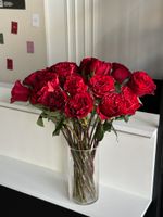 Роза кудрявая красная ХЕРТС