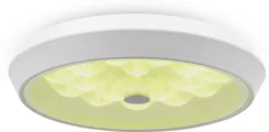 Потолочный светильник Cells FR10012CL-L24W Freya