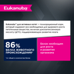 Корм сухой Eukanuba Kitten Healthy Start для котят от 1 до 12 месяцев сбалансированный, 5 кг
