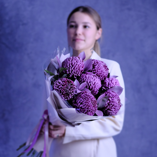 Купить Букет премиальных хризантем Bigoudi Purple