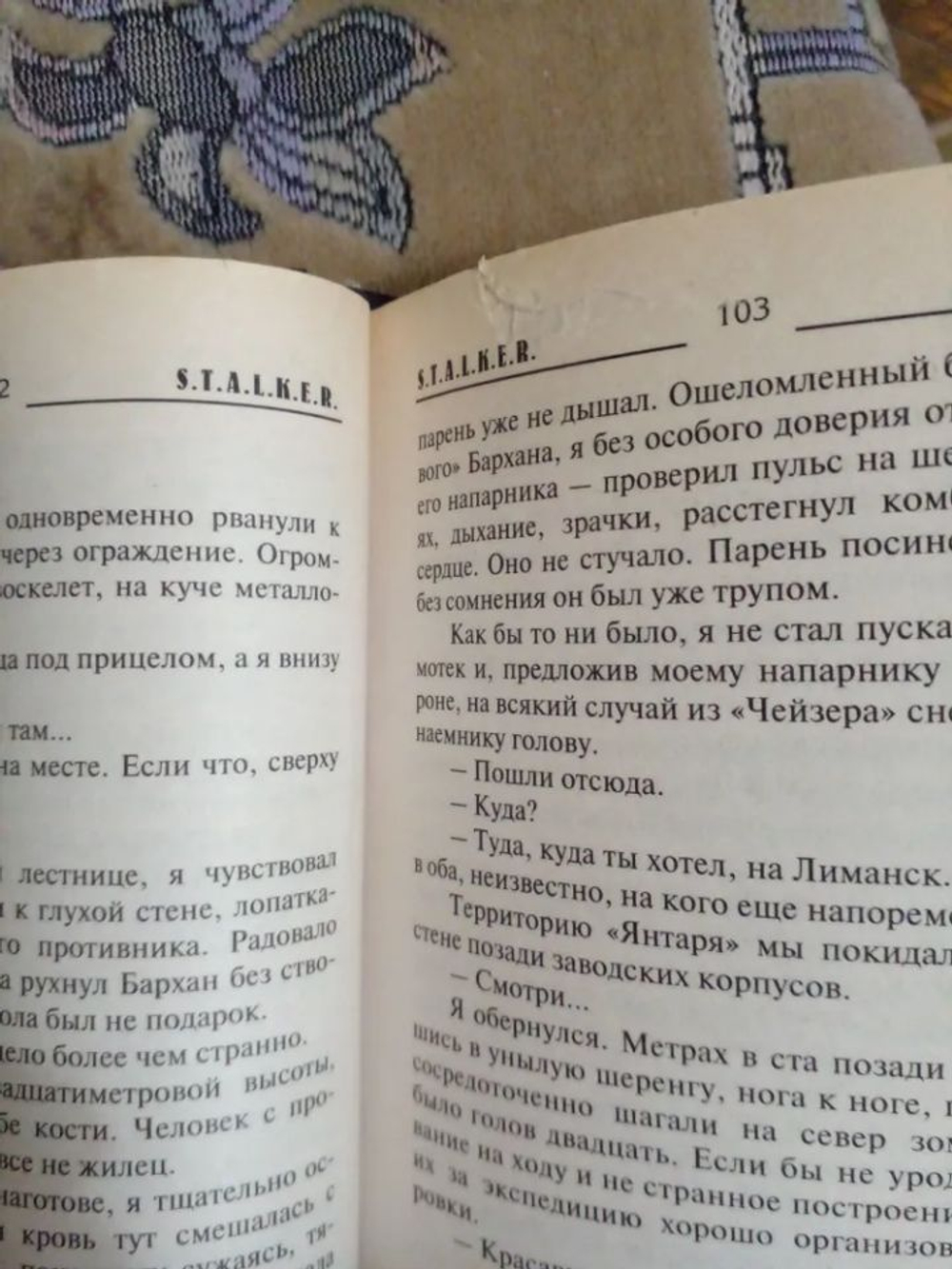 Отступник. STALKER. (ДЕФЕКТ)