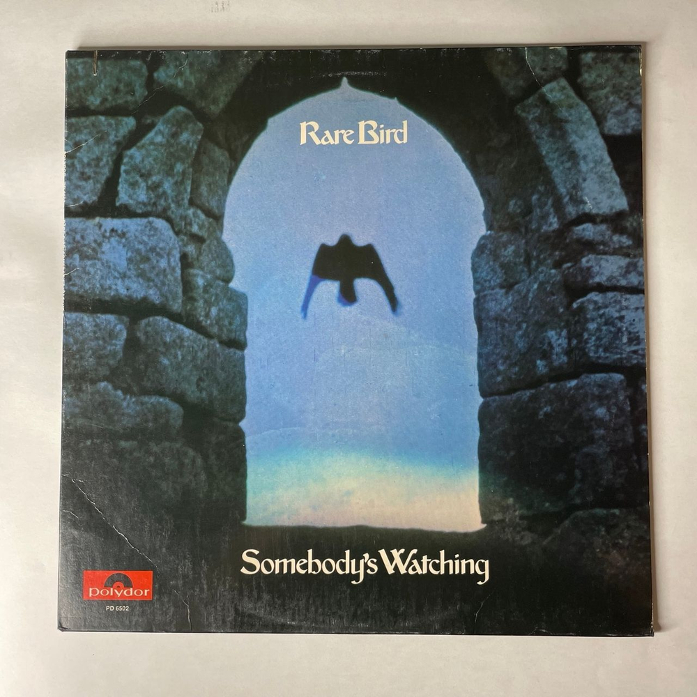 Винтажная виниловая пластинка LP Rare Bird Somebody's Watching (США 1973)