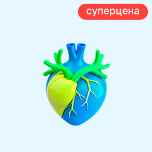 Здоровое сердце и сосуды