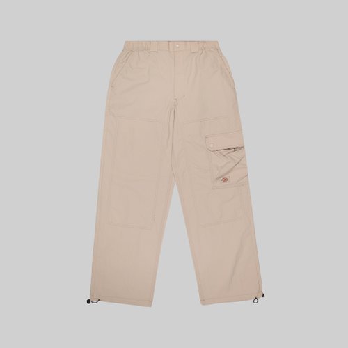 Брюки мужские Dickies Jackson Cargo Pant артикул:DK0A4YLXSS01 - купить в магазине Дайс