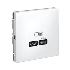 Розетка с USB C Systeme Electric ArtGallery Белый GAL000127