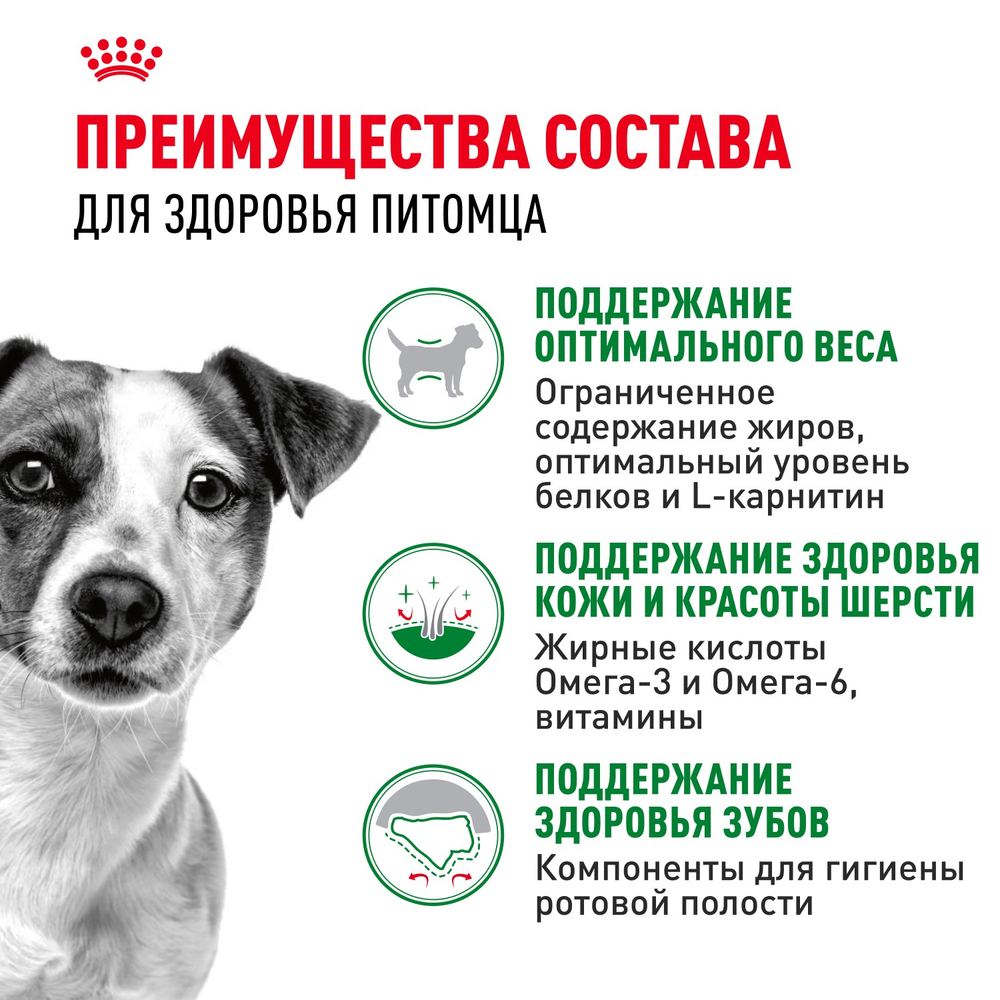 Royal Canin Mini Adult Мини Эдалт Корм сухой для взрослых собак мелких пород от 10 месяцев и старше 800г