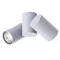 Спот Gavroche A1511PL-2GY Arte Lamp