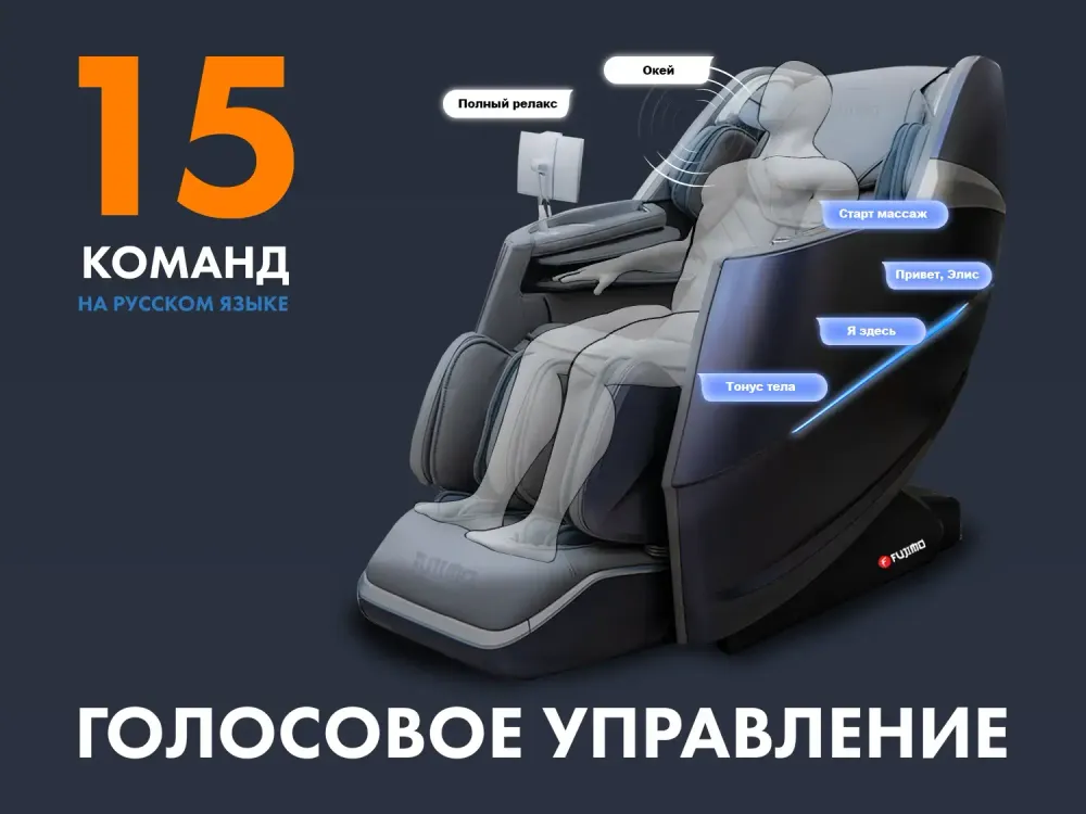 Массажное кресло FUJIMO 氣 Combat 4D Серый